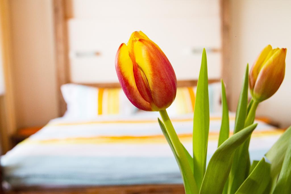 Apart Solaria - Wohnungen In Au-Schoppernau Au (Vorarlberg) Ngoại thất bức ảnh